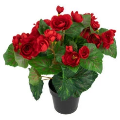 Northlight 11" Red Potted Silk Begonia Spring Artificial Floral Arrangement -Exquisite Home imageService 288