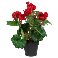 Northlight 11" Red Potted Silk Begonia Spring Artificial Floral Arrangement -Exquisite Home imageService 289