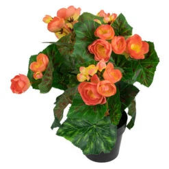 Northlight 11" Coral Pink Potted Silk Begonia Spring Artificial Floral Arrangement -Exquisite Home imageService 394