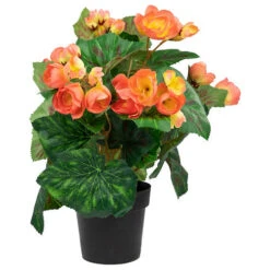 Northlight 11" Coral Pink Potted Silk Begonia Spring Artificial Floral Arrangement -Exquisite Home imageService 395