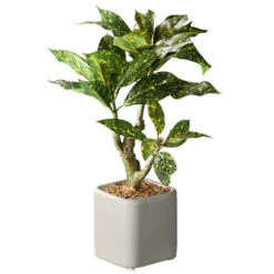 National Tree Company 11" Croton Plant -Exquisite Home imageService 568