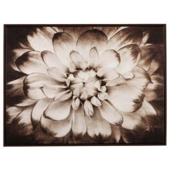 Signature Design By Ashley Phiala Wall Art