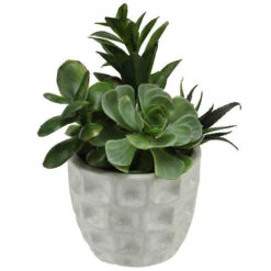 Northlight 9.5" Green And White Artificial Mixed Spring Potted Succulent Plant