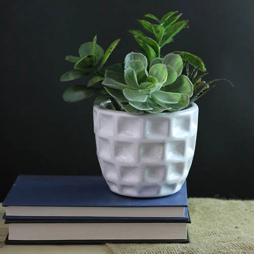 Northlight 9.5" Green And White Artificial Mixed Spring Potted Succulent Plant 2 Northlight 9.5" Green And White Artificial Mixed Spring Potted Succulent Plant - Image 2
